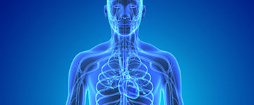 Health Navigator/Symptom Checker