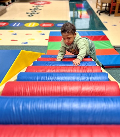 Pediatric Jungle Gym